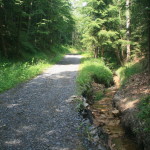 Cesta po dešti 6.7 2013