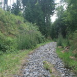 Cesta po dešti 6.7 2013