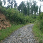 Cesta po dešti 6.7 2013