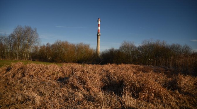 Zveřejnění studie rodinné zástavby „U kotelny“